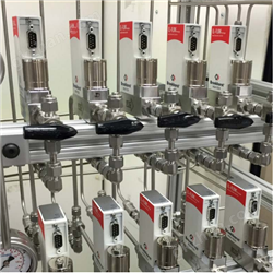 Bronkhorst气体质量流量计FG-110C用于质谱