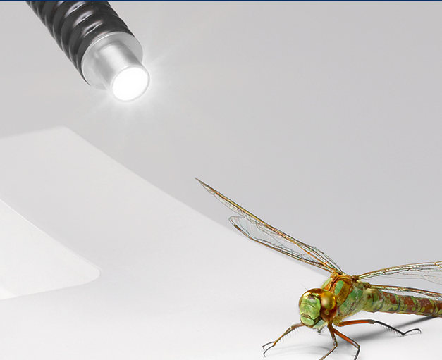 Schott KL 2500 LED冷光源‌实验室高效照明