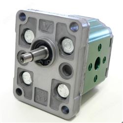 vivoil单向液压马达X1U2502FBBA