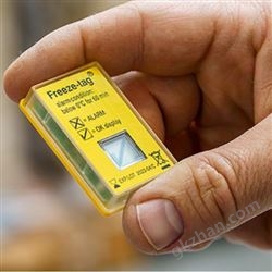 berlinger温度指示器Freeze-tag