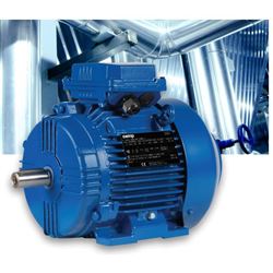 cempTC.80MB 4 IE4效率全封闭风扇冷却电机