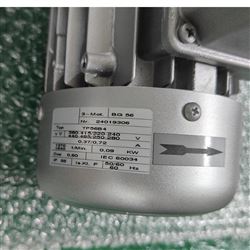 woerner泵单元GMC-A用于任何链条润滑