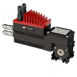 mini motor无刷伺服电机PCDBS 55/100