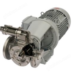 TG Bloc 15-50Johnson内啮合齿轮泵TopGear Bloc