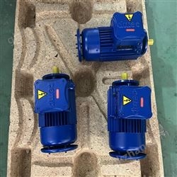 意大利CEMP E3AB25132S46B53F防爆电机