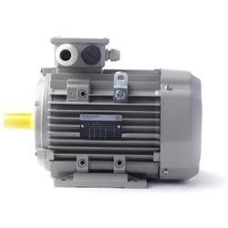 SZG701/220BRINKMANN  快吸式沉水泵