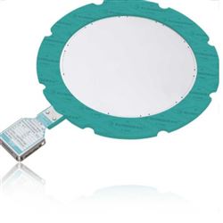 REMBE扁平爆破片Flat Rupture Disc