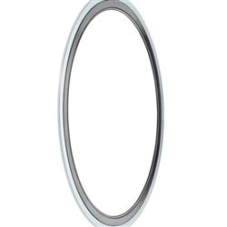 Kroll Ziller强制分流密封件G-ST-P200