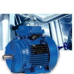 TC.. 80MA 2意大利cemp防爆马达电动机TC系列