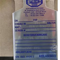 striko石墨爆破片系列 G2 / LPG2用于制药