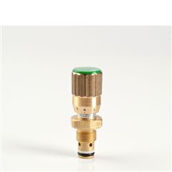 Tognella FT 1247/2双作用控制流量阀