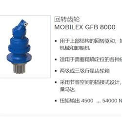 rexroth回转齿轮 GFB 8000