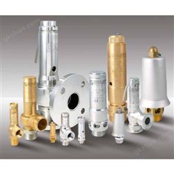 Nuova General安全阀D10/CS货号022631743